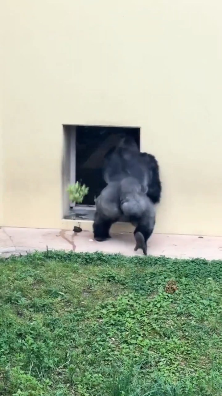 Kiyomasa moving toward the doorway